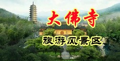 巨吊干嫩B视频中国浙江-新昌大佛寺旅游风景区